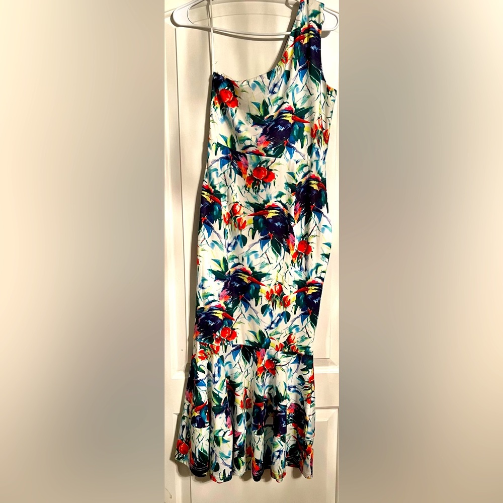 Fashion Nova Peplum Dress